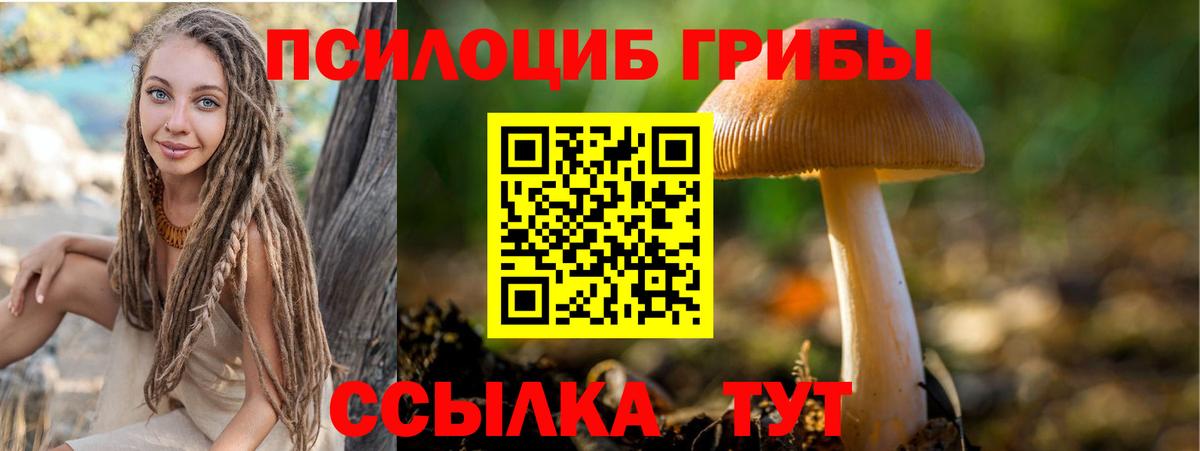 Псилоцибиновые грибы GOLDEN TEACHER  Вход с VPN  наркотики  Лабытнанги  Псилоцибиновые грибы GOLDEN TEACHER 